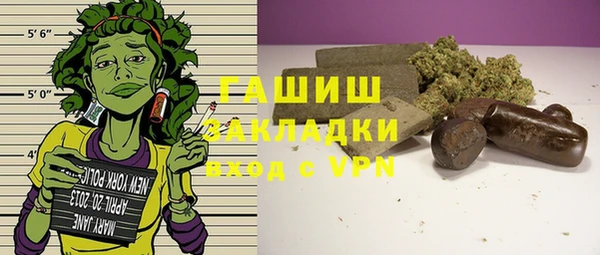 шишки Верея